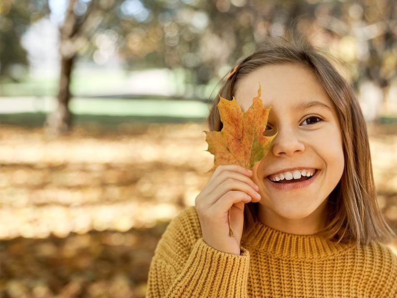 fall dental cleaning cypress texas fall dental cleaning cypress texas